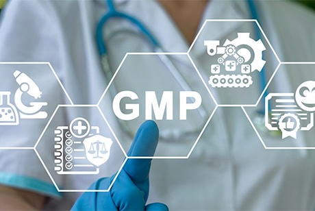 GMP (Good Manufacturing Practice)